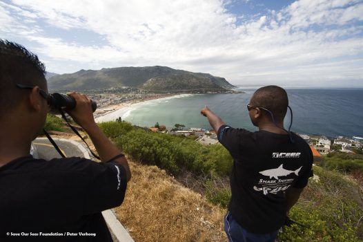 Shark Spotters