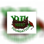 Youth Nest Foundation NPC